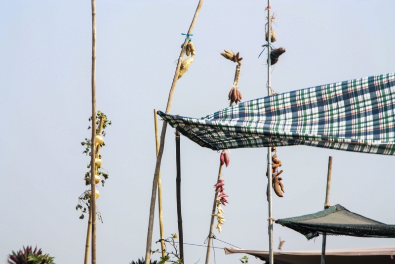 River Life - Chau Doc - James Pham-10
