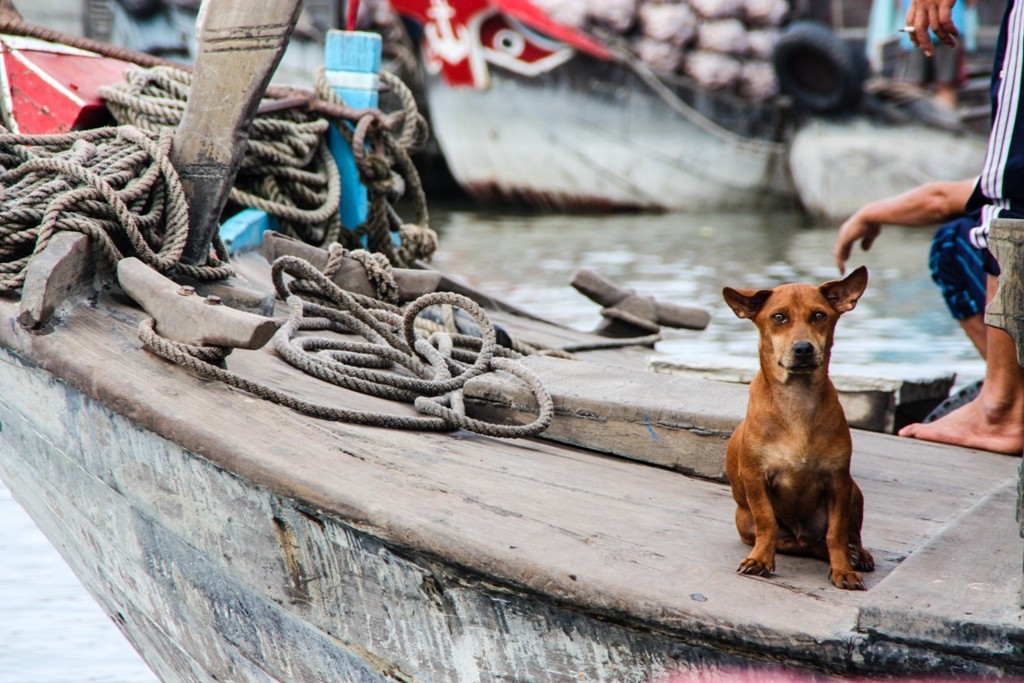 Victoria Can Tho Resort - Floating Market Breakfast Cruise - 36
