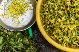 Exploring The Chau Doc Market: A Photo Essay File name: Chau-Doc-Market-James-Pham-7.webp