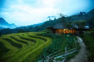 A H’mong Homestay In The Muong Hoa Valley File name: VHS_Overview_MarCom-14.webp