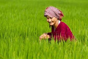 Why You Should Visit An Giang, Vietnam File name: Mekong-Delta-Victoria-Chau-Doc-1.webp