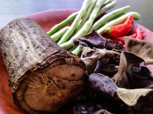 : victoria File name: blog-3.webp