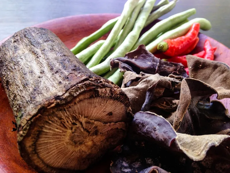 : victoria File name: blog-3.webp