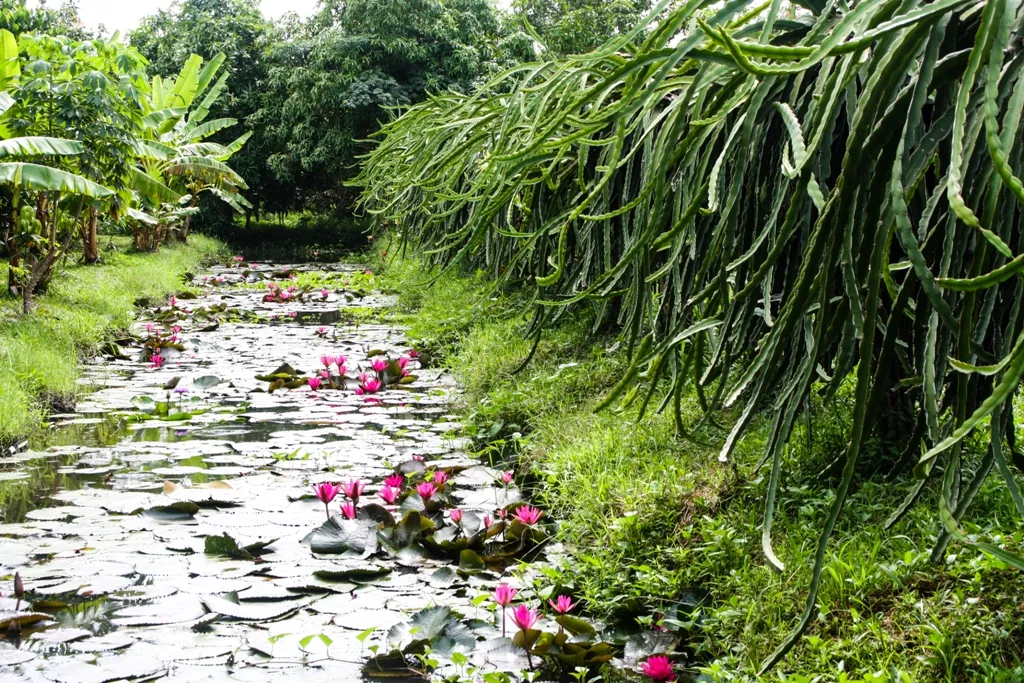 Victoria File name: blog-4.webp