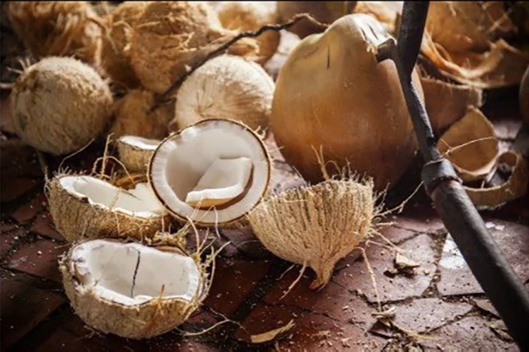 MEKONG-ESCAPADE-gallery-1 copy