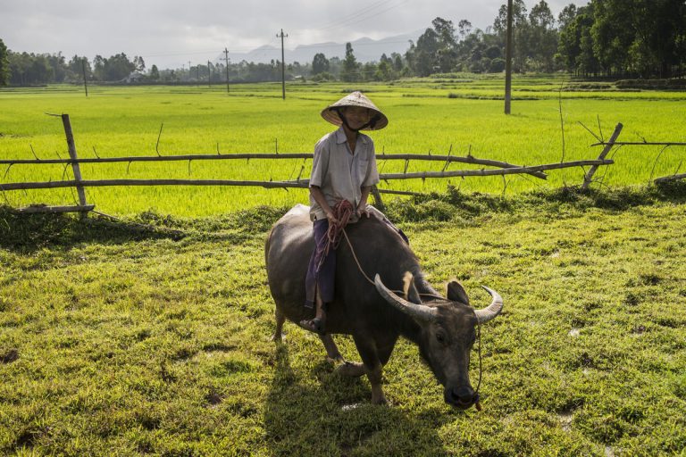 Thăm Quan Bằng Xe Mô Tô 3 Bánh File name: Sidecar-Trip-to-the-countryside-Gallery-3.jpg