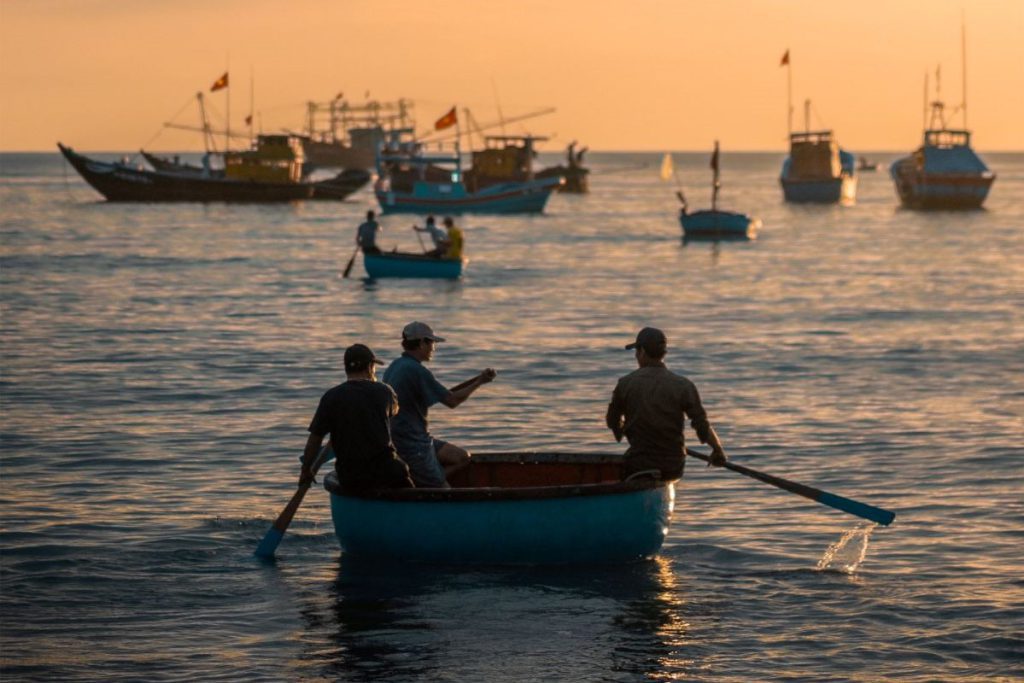 Holiday travel ideas for a Hoi An escape File name: Fish-7884-1682161940.jpg