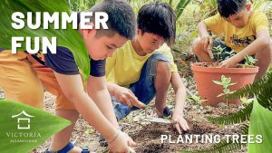 Cùng khách sạn Victoria Núi Sam ươm mầm tình yêu với cây xanh cho trẻ