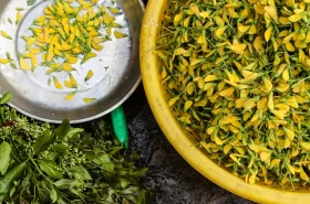 Exploring The Chau Doc Market: A Photo Essay File name: Chau-Doc-Market-James-Pham-7.webp