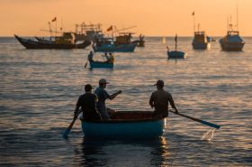 Holiday travel ideas for a Hoi An escape File name: Fish-7884-1682161940.jpg