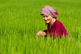 Why You Should Visit An Giang, Vietnam File name: Mekong-Delta-Victoria-Chau-Doc-1.webp