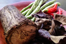 : victoria File name: blog-3.webp